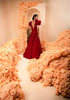 Organza blood red colour gown with embroidered body